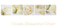 Glückwünsche Hochzeit, Weiße Rosen und Ringe