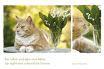 Das Leben und dazu eine Katze, Rilke, Kater Linus