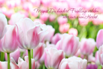 Mögest Du hundert Frühlinge.., rosa Tulpen