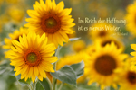 Im Reich der Hoffnung..., Sonnenblumen