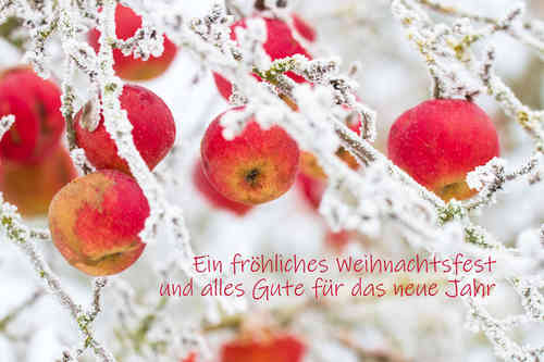 Ein fröhliches Weihnachtsfest und alles Gute für das neue Jahr, verschneite Äpfel